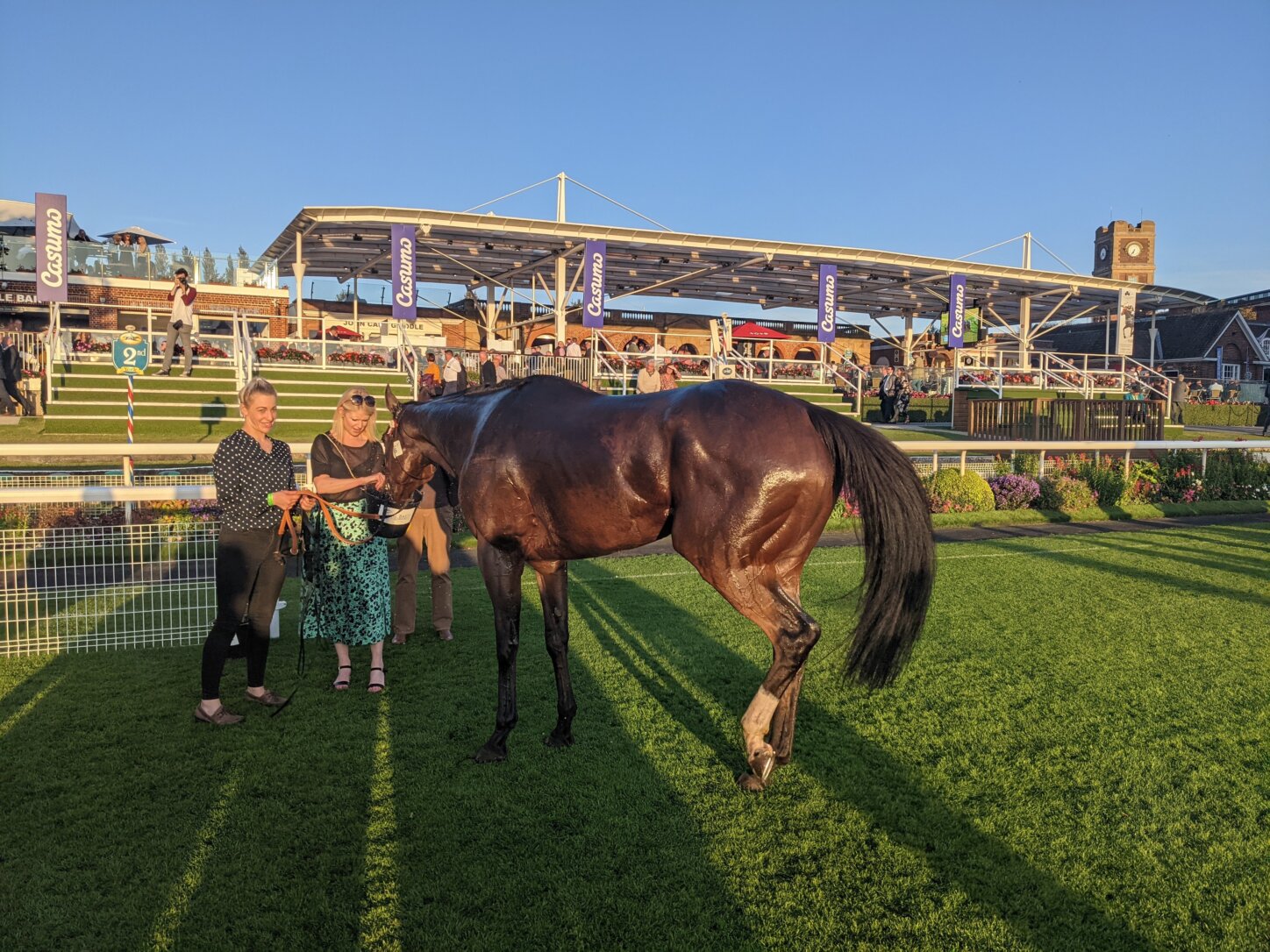 York Races October York Races 2021 - Vincent & Partners